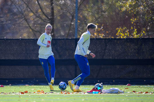 Caroline Seger and Lina Hurtig of Sweden of the women’s