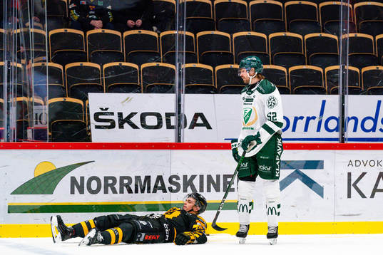 Skellefteås Andreas Johnson och Färjestads August Tornberg