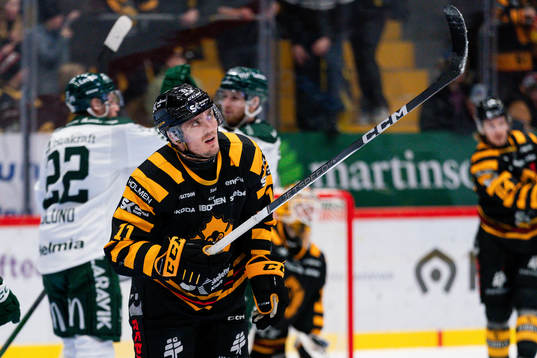 Skellefteås Max Lindholm deppar