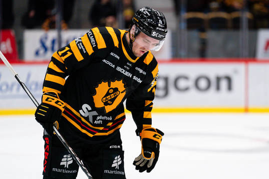Skellefteås Max Lindholm deppar