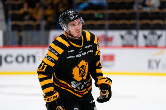 Skellefteås Max Lindholm deppar