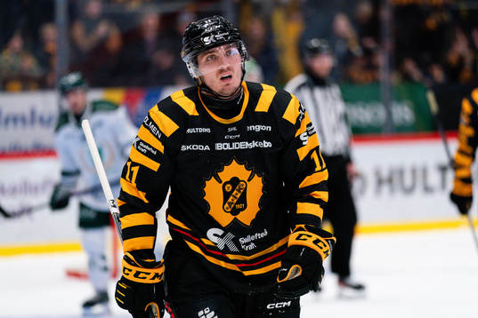 Skellefteås Max Lindholm deppar