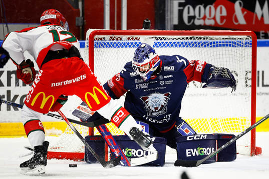 Linköpings målvakt Marcus Högberg