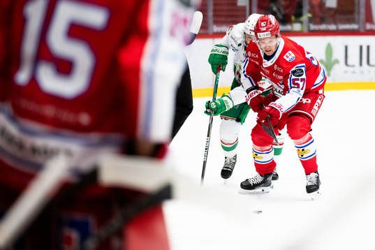 Timrås Anton Wedin