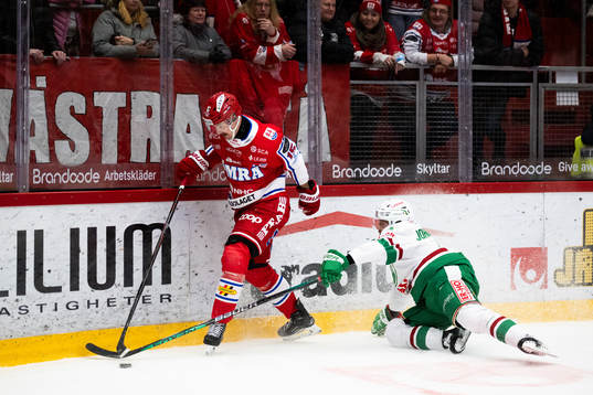 Timrås Panu Mieho