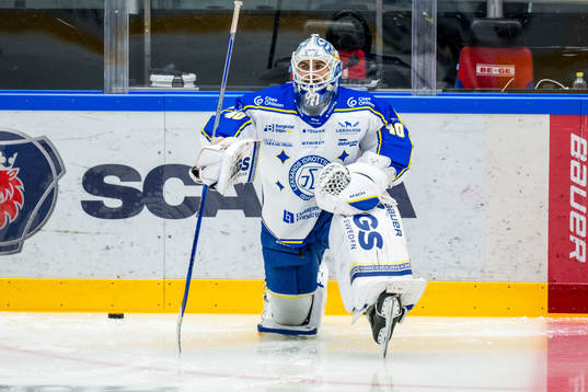 Leksands IFs målvakt Mantas Armalis