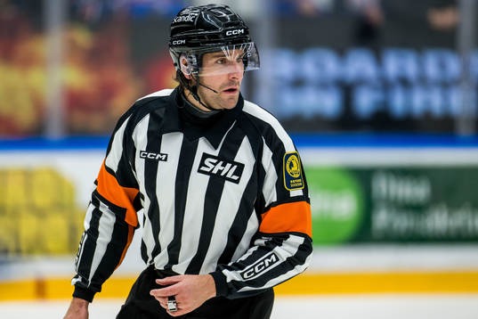 Domare Mikael Sjöqvist