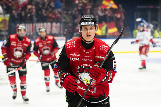 Malmö Redhawks Fredrik Händemark