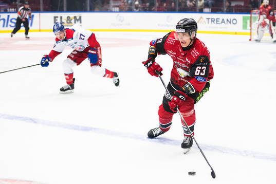 Malmö Redhawks Fredrik Händemark