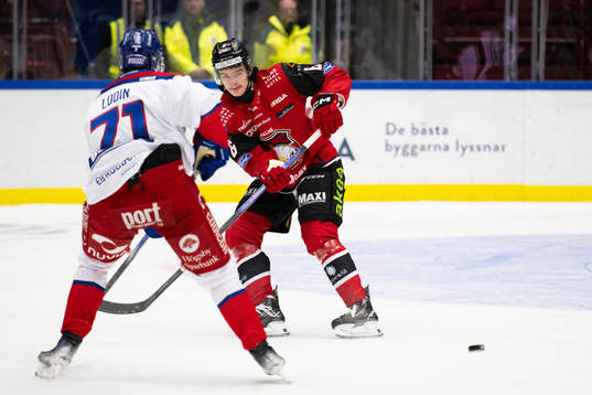 Malmö Redhawks Dominik Badinka