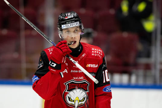 Malmö Redhawks William Von Barnekow