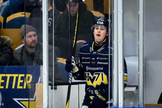 HV71s Axel Landén deppar
