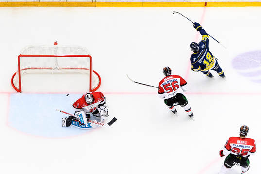 HV71s Henrik Borgström jublar