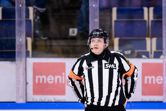 Domare Daniel Eriksson