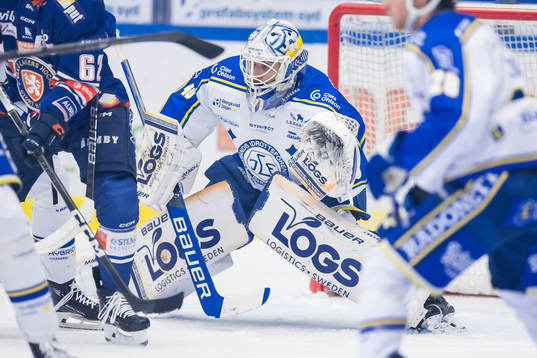 Leksands målvakt Mantas Armalis