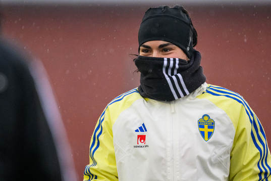Goalkeeper Zecira Musovic
