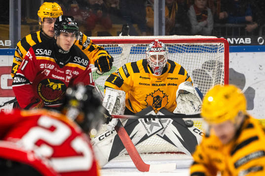 Skellefteås målvakt David Rautio