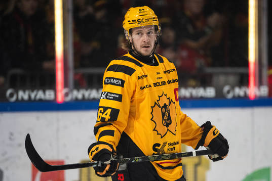 Skellefteås Jonathan Pudas
