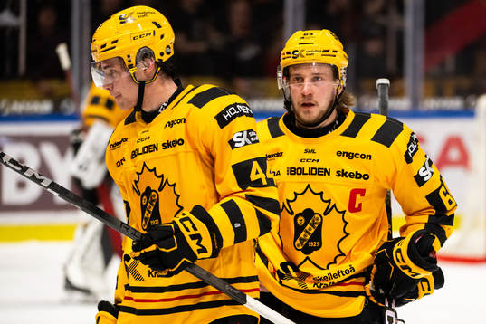Skellefteås Elias Salomonsson och Jonathan Pudas deppar