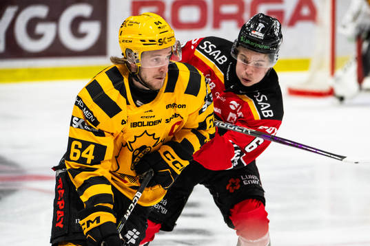Skellefteås Jonathan Pudas och Luleås Isac Hedqvist