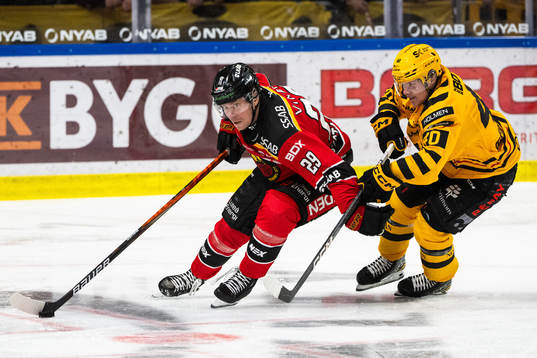 Luleås Erik Gustafsson och Skellefteås Anton Heikkinen