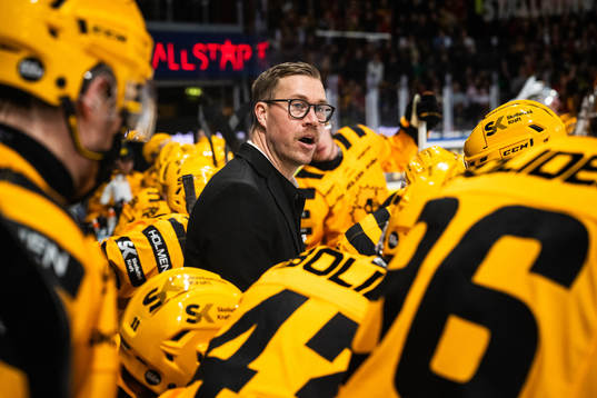Skellefteås assisterande tränare Andreas Falk