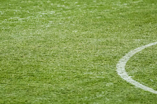 Quality of the grass at Ullevaal Stadion