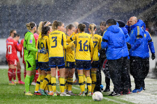 Players of Sweden gather