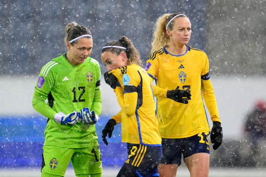 goalkeeper Jennifer Falk, Kosovare Asllani and Amanda