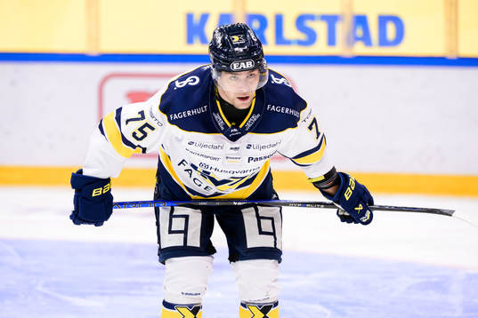 HV71s Radan Lenc deppar