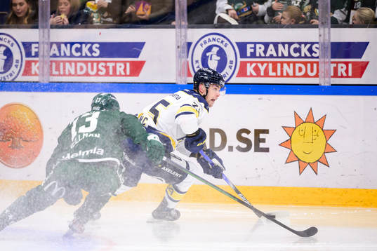 HV71s Radan Lenc