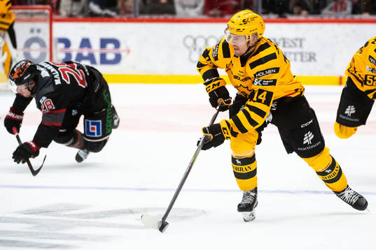 Örebros Linus Arnesson och Skellefteås Andreas Johnson