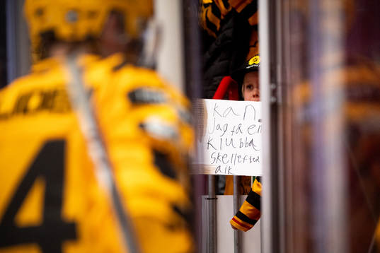 Skellefteås supportar