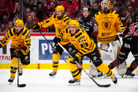 Skellefteås Max Lindholm