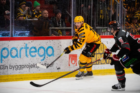 Skellefteås Andreas Johnson och Örebros Gustav Backström