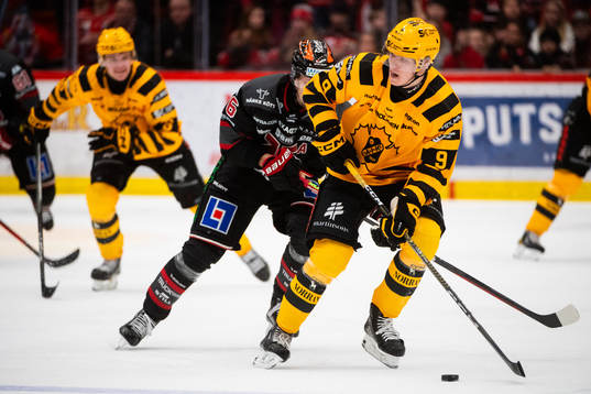 Skellefteås Lukas Vesterlund
