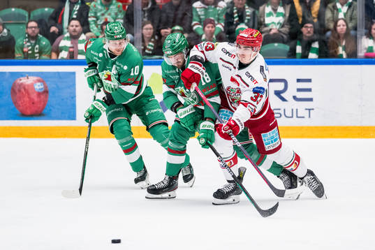 Bläddra bland fler bilder av Ishockey, SHL, Rögle - Modo