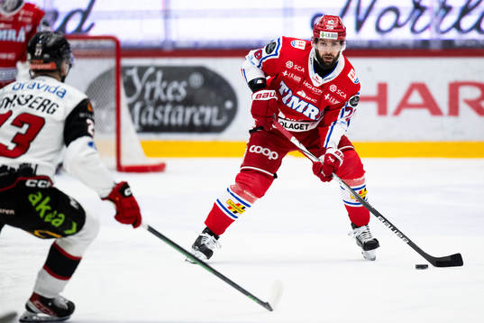Timrås Robin Hanzl
