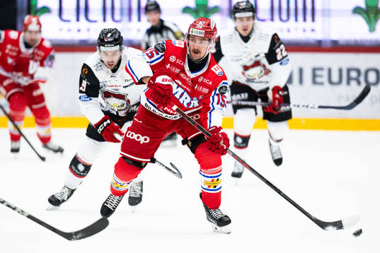 Timrås Panu Mieho