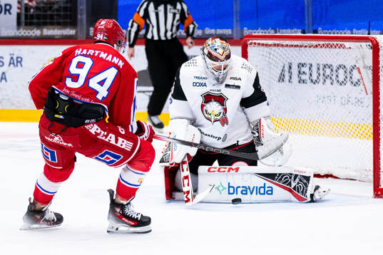 Timrås Sebastian Hartmann och Malmö Redhawks målvakt
