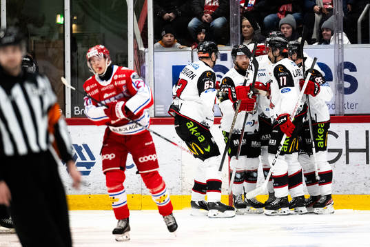 Malmö Redhawks jublar