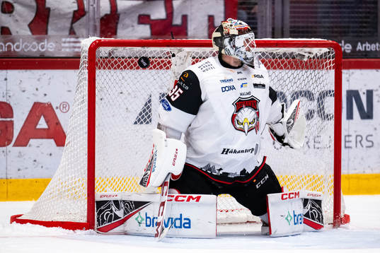 Malmö Redhawks målvakt Adam Werner deppar