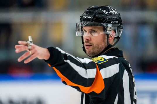 Domare Johan Magnusson