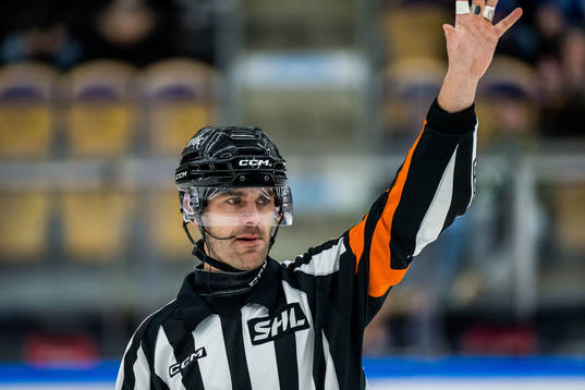 Domare Richard Magnusson