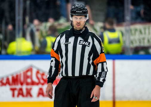 Domare Johan Magnusson