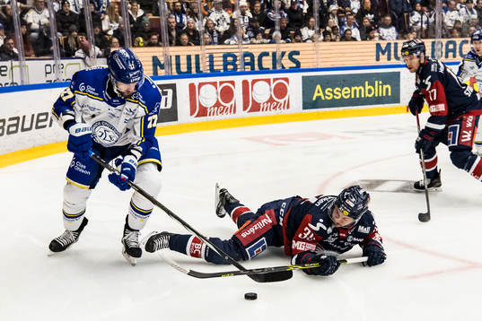 Leksands Marek Hrivik och Linköpings Ty Rattie
