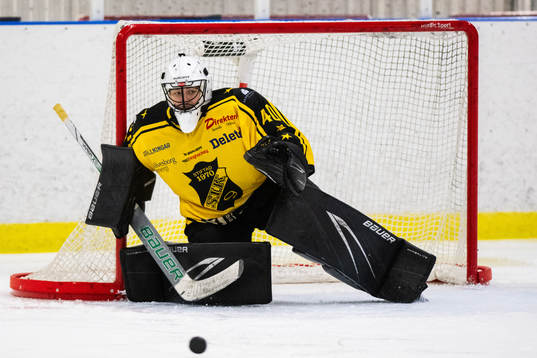 Sölvesborgs målvakt Melker Arwidsson