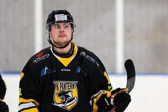 Panterns Adam Ringdahl