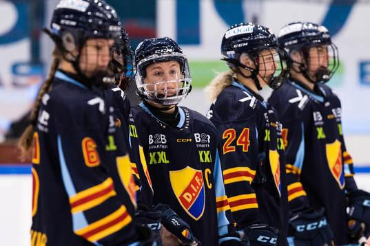 Djurgårdens Brette Pettet