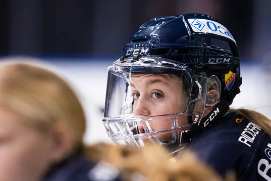 Djurgårdens Brette Pettet